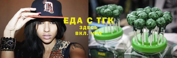 тгк Алзамай