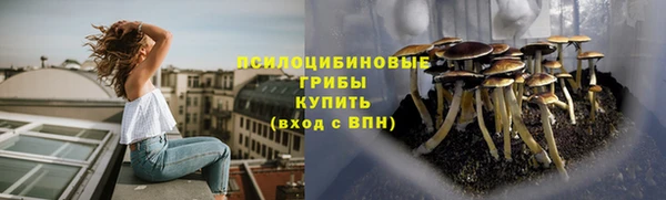 тгк Алзамай
