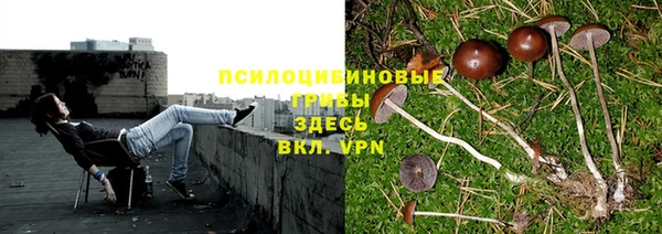 тгк Алзамай