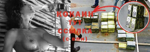 эйфоретик Кукмор