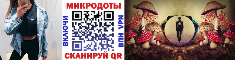 купить наркоту  Пролетарск  Галлюциногенные грибы Magic Shrooms 